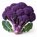 Fresh Purple Broccoli (Seasonal)
